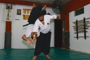 Gustavo Figueroa. Aikido, el camino de la armonía