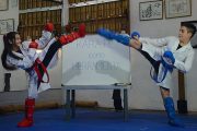 El Karate-do como herramienta integradora