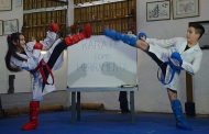 El Karate-do como herramienta integradora