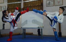 El Karate-do como herramienta integradora