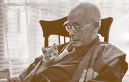 D. T. Suzuki: el filósofo budista que divulgó el zen en todo el mundo