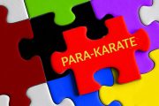 El karate en personas con discapacidad
