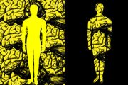 ¿Por qué separamos la mente del cuerpo?