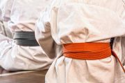 Dojo Apuntes: La relación entre Senpai y Kôhai