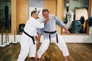 El karate tradicional en el siglo XXI