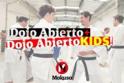 Dojo Abierto 2: Del karate tradicional al karate hiperdeportivo