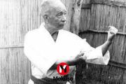 Dojo Apuntes: Chibana, el luchador
