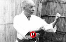 Dojo Apuntes: Chibana, el luchador