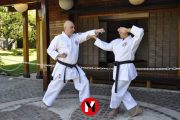Alejandro Cavallari: «No hay nada en el karate tradicional que no pueda aplicarse al karate deportivo»
