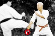 Dojo Apuntes: Honan Soken, la grulla blanca