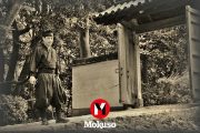 La historia de los Ninjas
