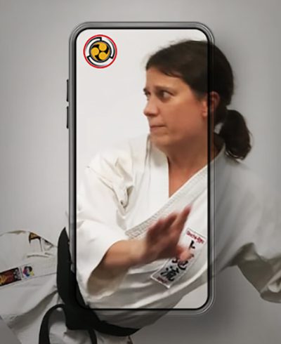 Dojo Virtual Karate Uechy Ryu Yoshukai
