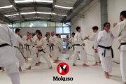 Dojo Abierto 3: Dento Karate, bunkai aplicable a todos los estilos