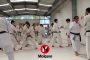 Karate y Kobudo en Okinawa