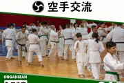 3° Karate Koryu