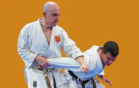 El Karate como sistema de autodefensa: coherencia, metodología y realidad