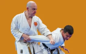 El Karate como sistema de autodefensa: coherencia, metodología y realidad