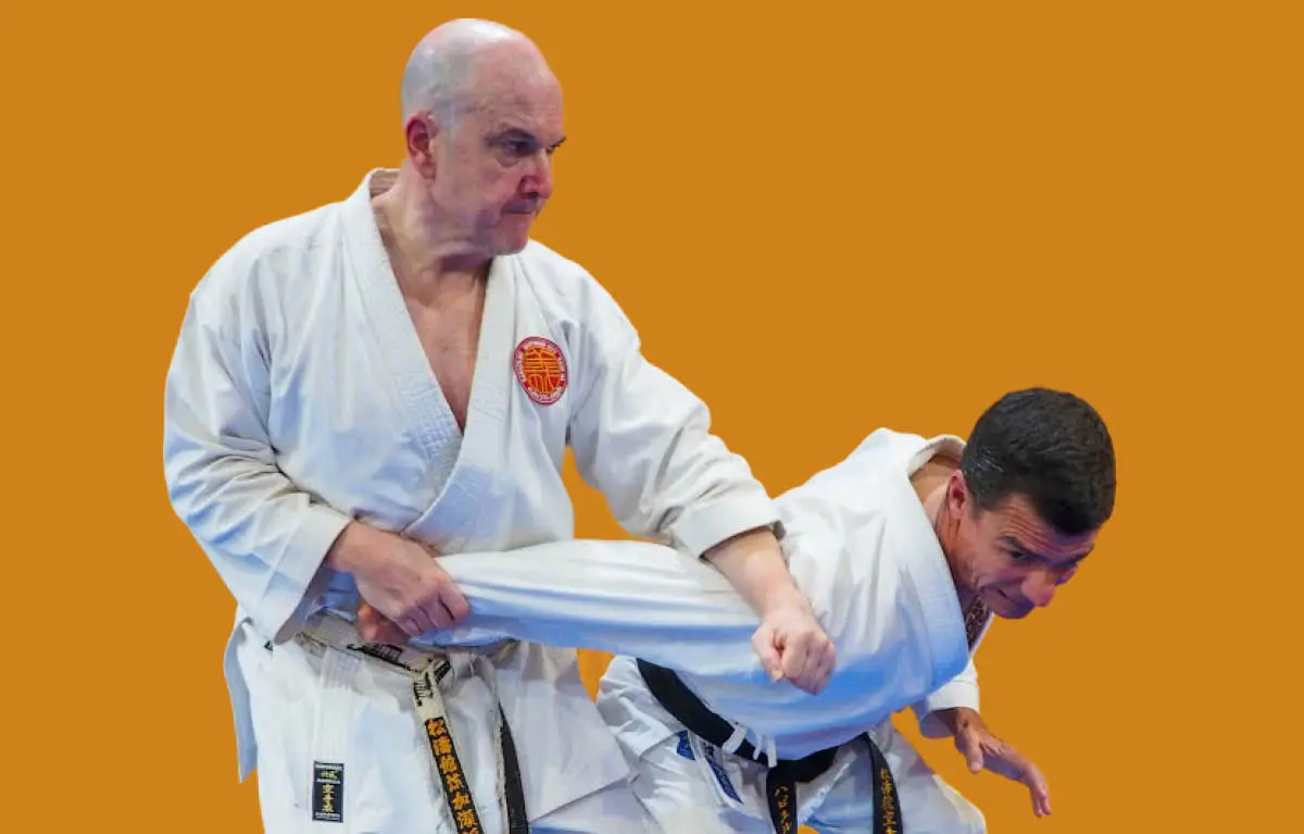 El Karate como sistema de autodefensa: coherencia, metodología y realidad